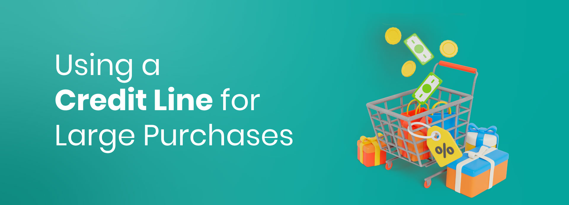 Using a Credit Line for Large Purchases