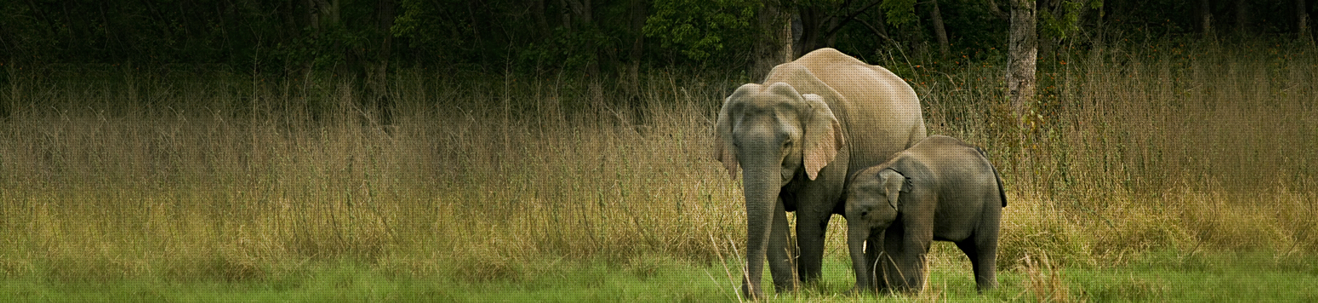 PROTECTING THE EARTH OUR MOST VITAL ASSET