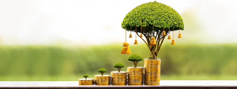 investing in Fixed Deposits