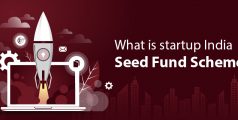 MSME: What is Startup India Seed Fund Scheme?