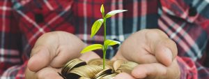 Fixed deposit myths debunked: What you need to know