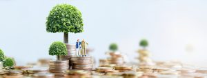Navigating Senior Citizen Fixed Deposits: A Comprehensive Guide