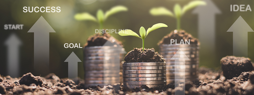 Ensuring financial discipline