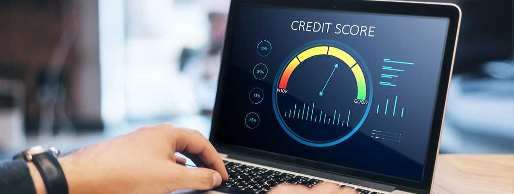 types of credit score