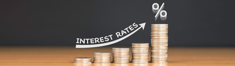 Ideal Investment Options on FD & PPF