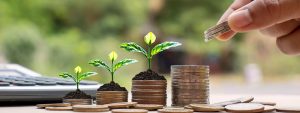 How to manage your personal finances and grow your wealth?
