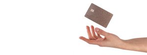 How Co-Branded Credit Cards Work: Everything You Need to Know
