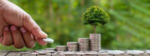 Help the Environment While Earning Better Returns with IndusInd Bank Green Fixed Deposit