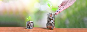 High-Interest Savings Account – All You Need to Know