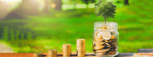 Exploring The Benefits of IndusInd Bank FD: Why It’s a Secure Investment Option